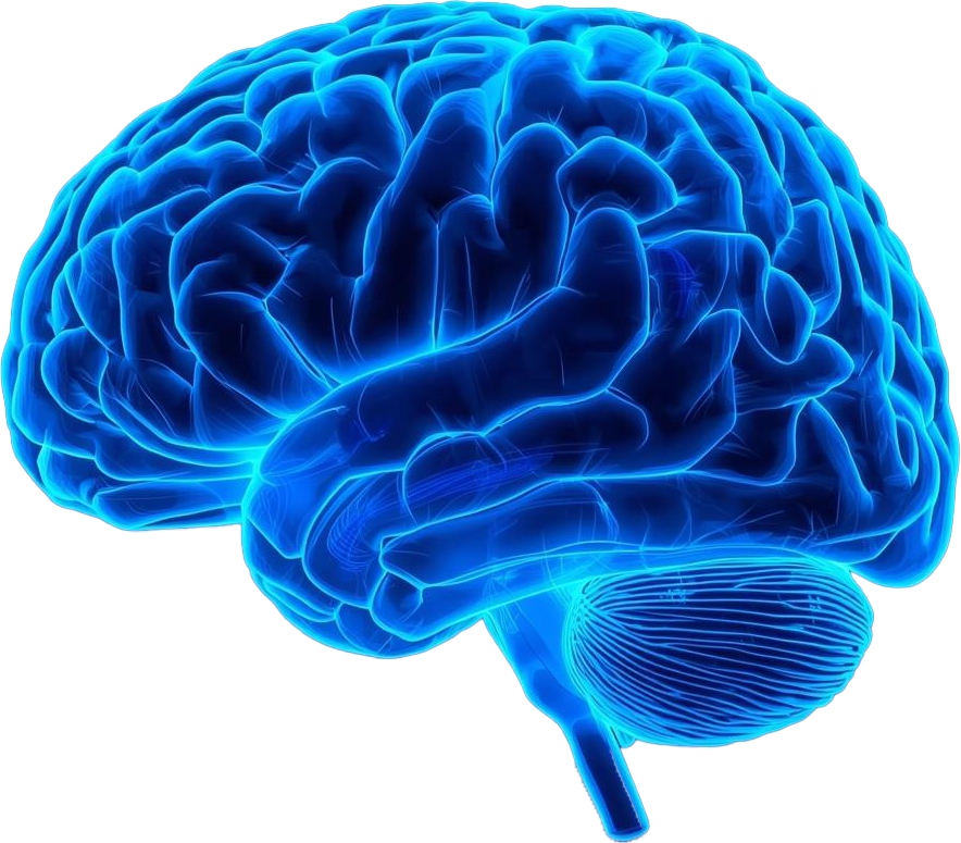 İngilizce öğrenmeyi temsil eden beyin görseli