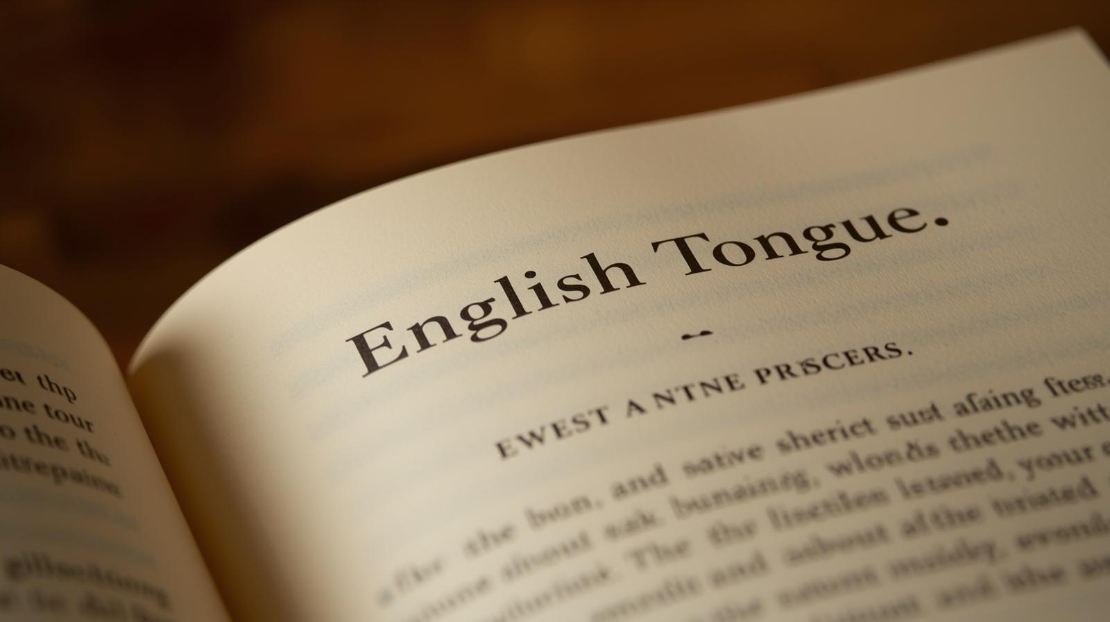 Neden İngilizce Öğrenmeliyiz? Kapak Resmi